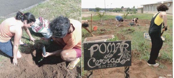 Orchards From The Forest A Local Solution To Extinction The