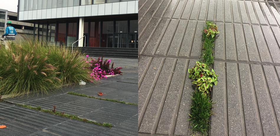 As A Landscape Architect How Do You Interpret The Word - 