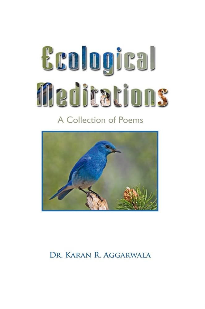 My Past, Present, and Future: A Review of Ecological Mediations