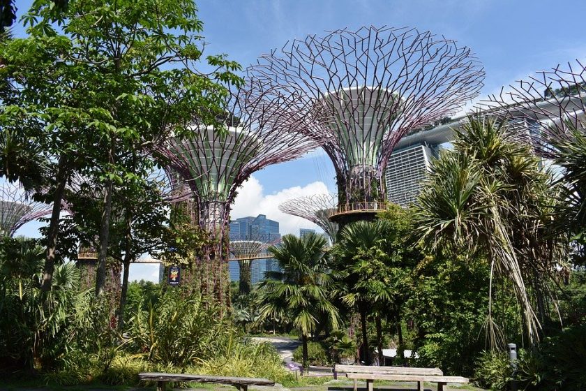 Steward Lejlighedsvis bibel The Place of Nature in Cities: Taking Inspiration from Singapore – The  Nature of Cities