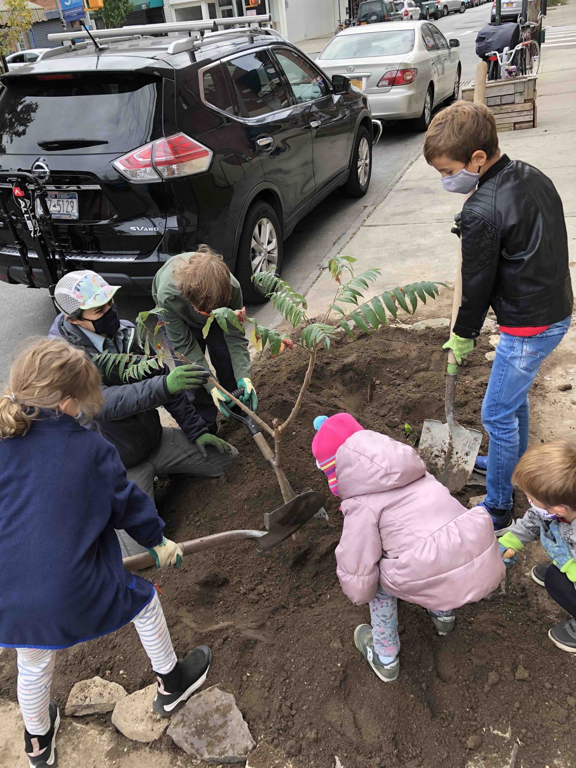 The Nature of Cities, An idea hive of green city building