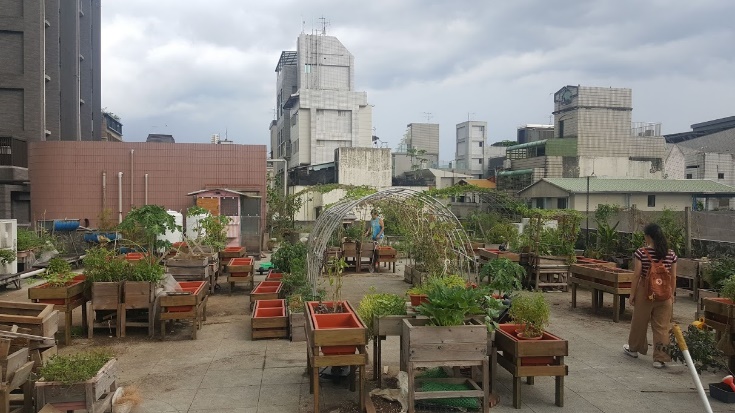 A rooftop garden