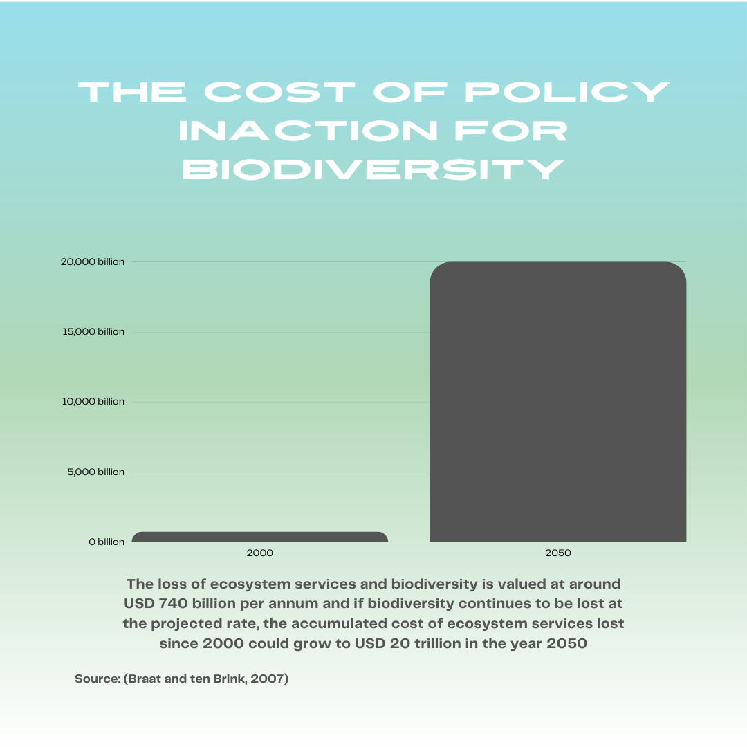 Infographic created by The Natue of Cities using source data.