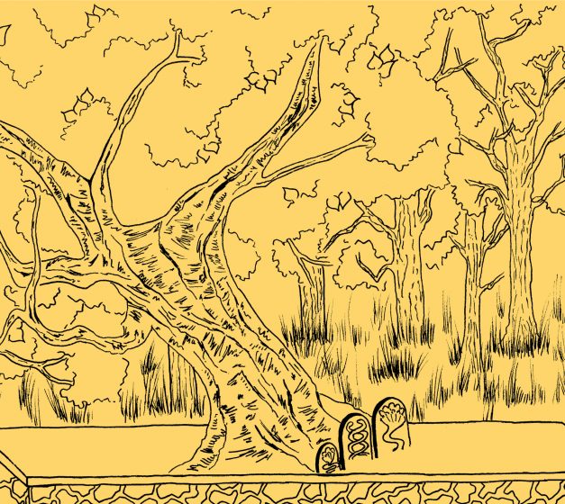 An illustration of a large tree in a grove