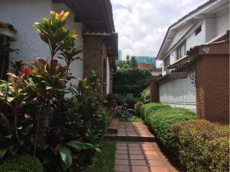 A picture of an outdoor garden with trees and plants