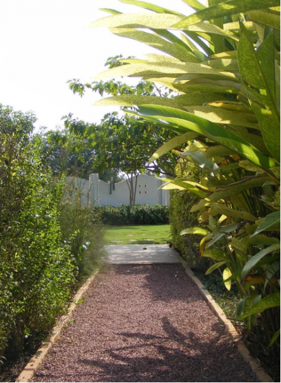 A picture containing an outdoor dirt path through trees and plants