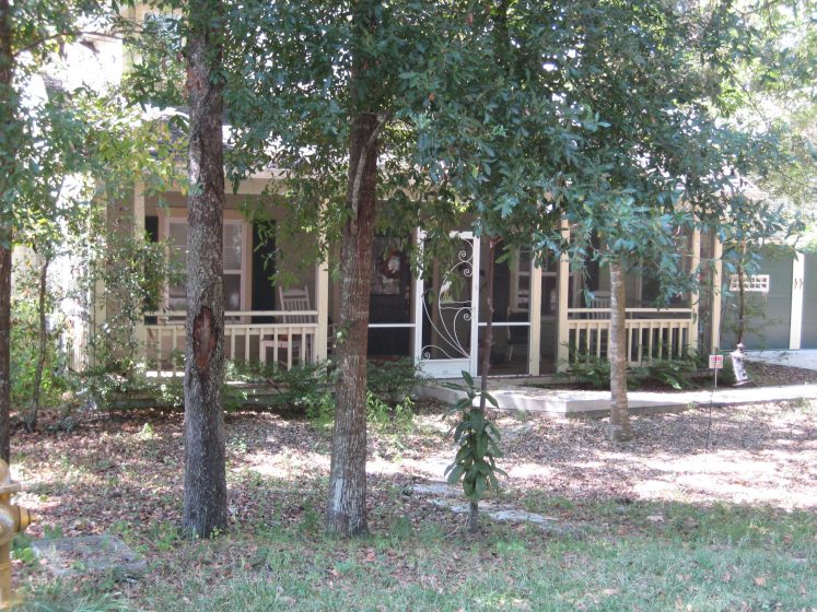 A house with trees in front of it