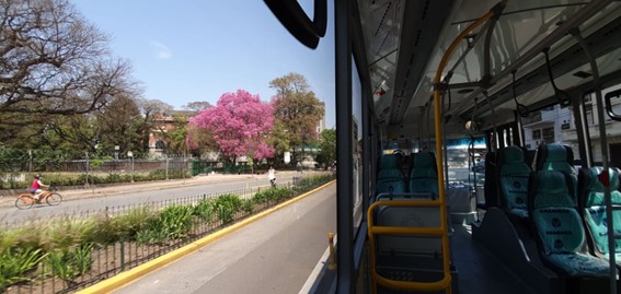 A picture of the street from inside an empty bus with seats