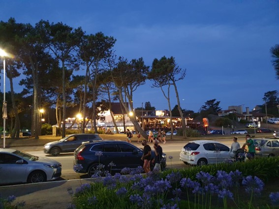 Groups of people walking along the sidewalks with parked cars and trees 