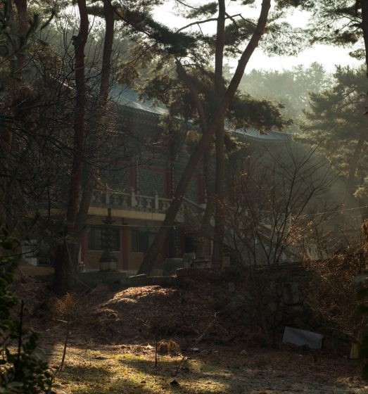 A temple in a forest