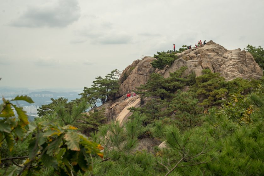 A cliffside surrounded by trees with people standing on top