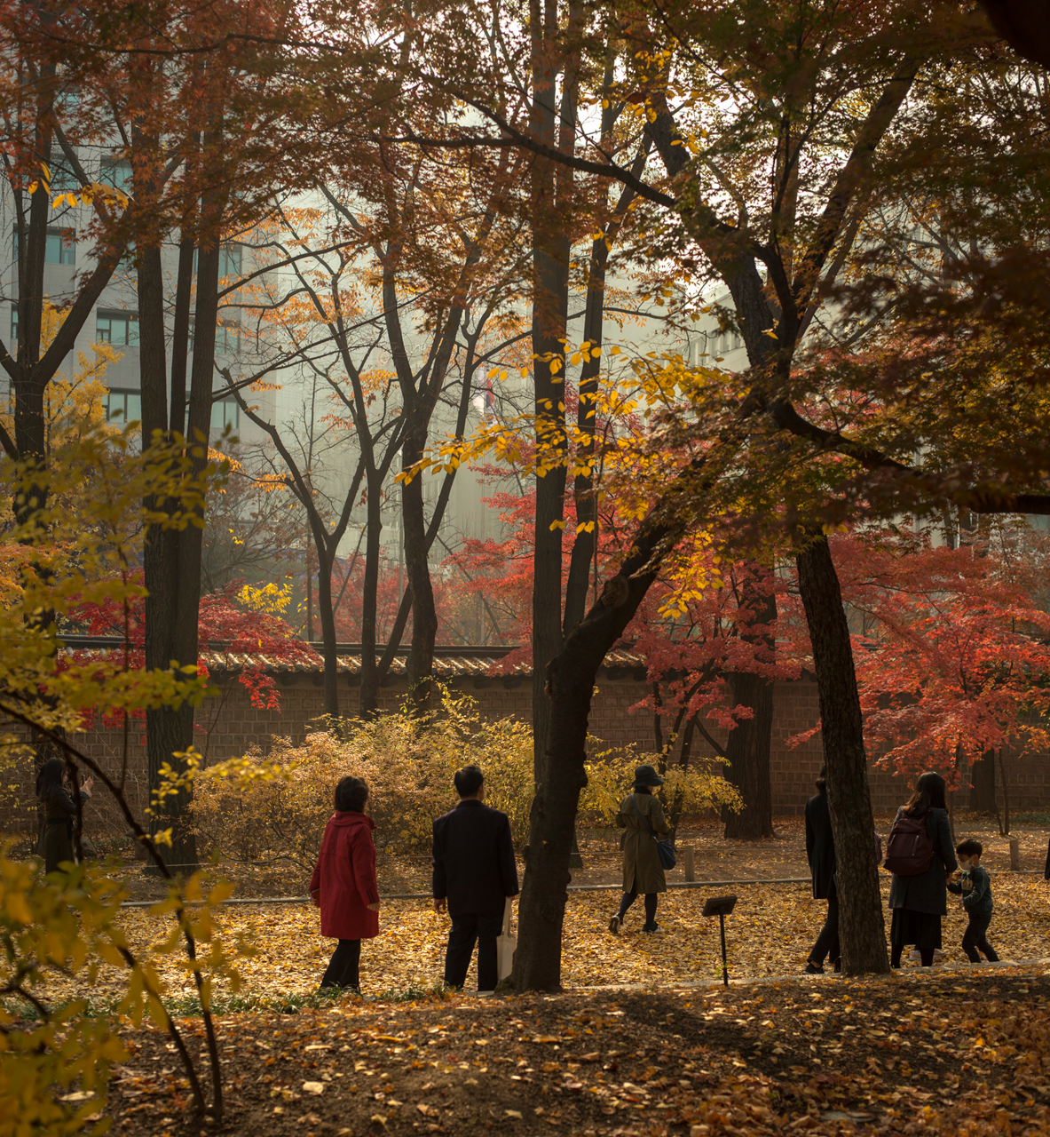 People walking on a leaf-covered path under autumn trees