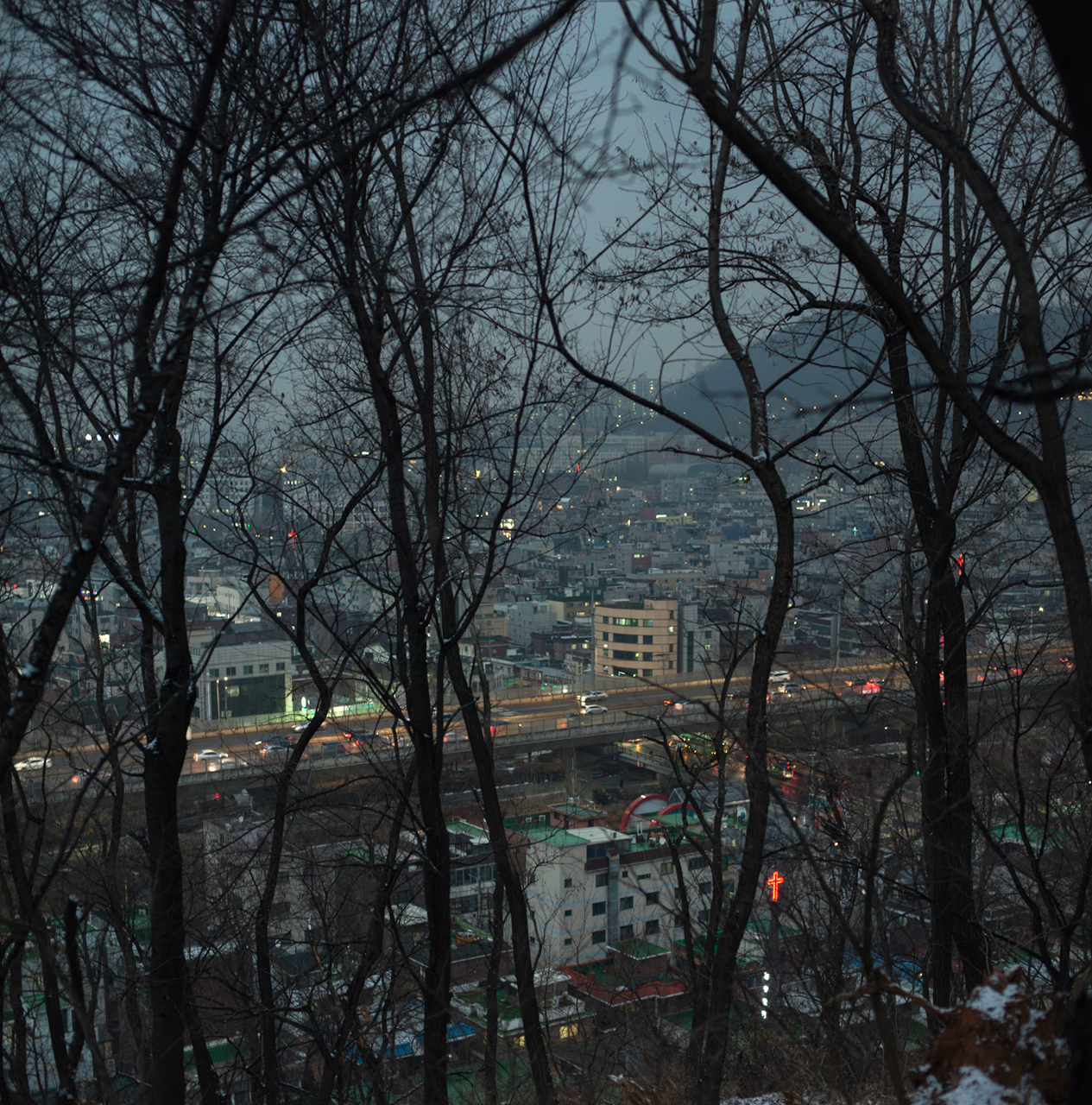 A lit up city through dead trees and fog