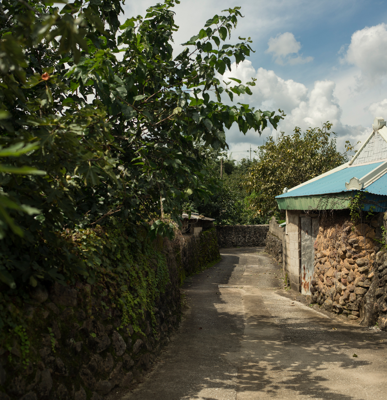 A concrete path with trees and a stone wall on one side and a rock building on the other