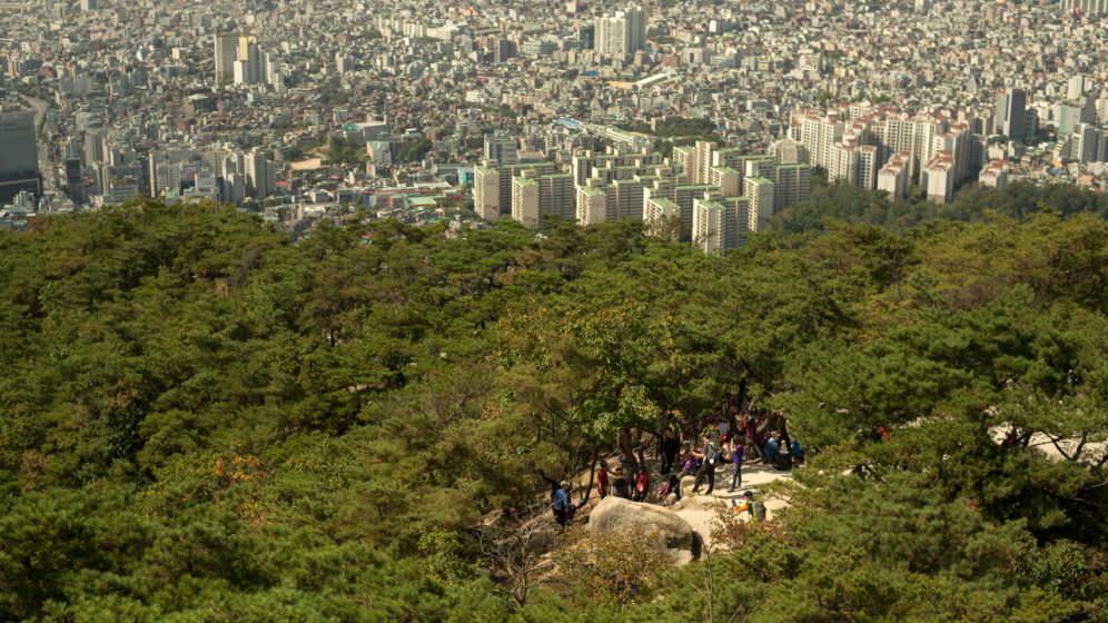 People gathering just inside a forest on the edge of a city