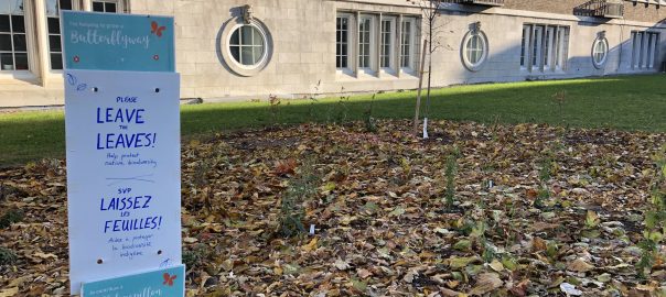 A picture of an outdoor space full of leaves with a sign reading "Please leave the leaves"