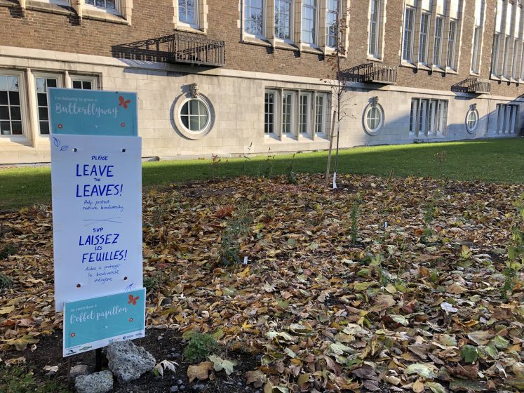 A picture of an outdoor space full of leaves with a sign reading "Please leave the leaves"