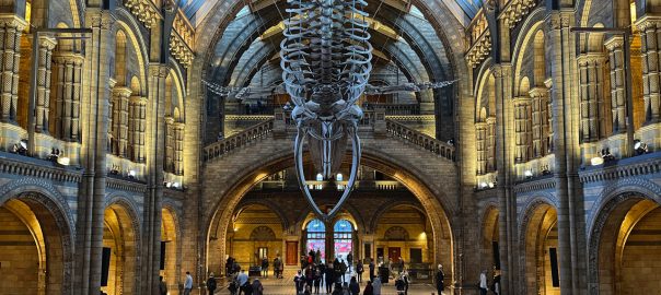 A large room with high arched ceilings, skylights, and a skeleton hanging from the ceiling while people stand around below