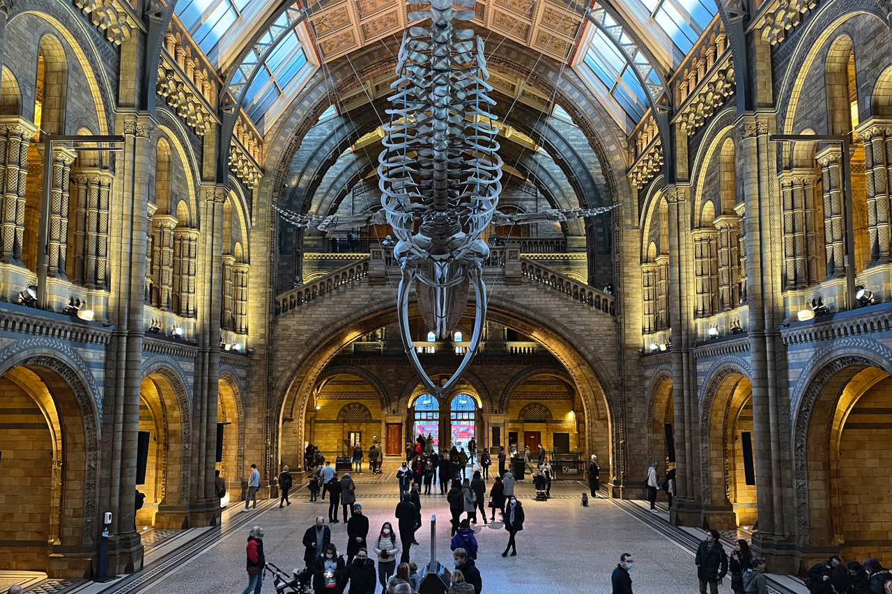 Natural History Museum London natural-history-museum-london