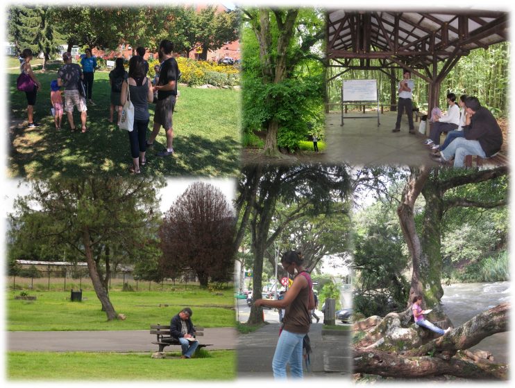 Four pictures of people talking to each other underneath trees in different areas