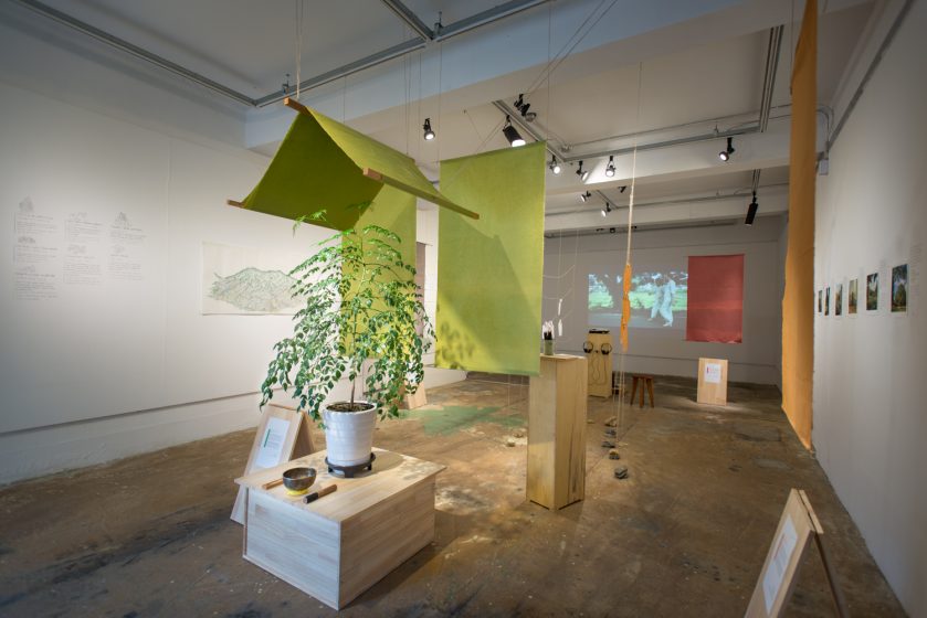 A picture of an art installation with sheets of green cloth hanging from the ceiling as a tent with a plant on a table beneath