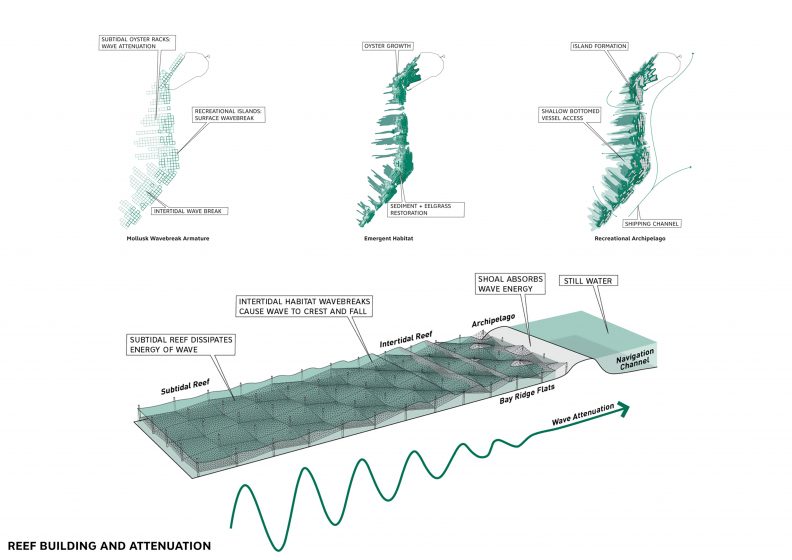 A diagram depicting reef infrastructure, water currents, and habit deterioration