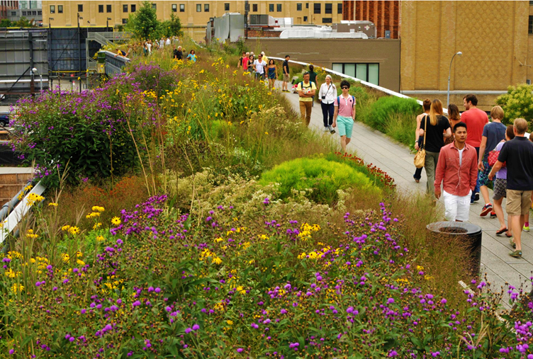 A picture of an elevated walking path surrounded by plants with people on it