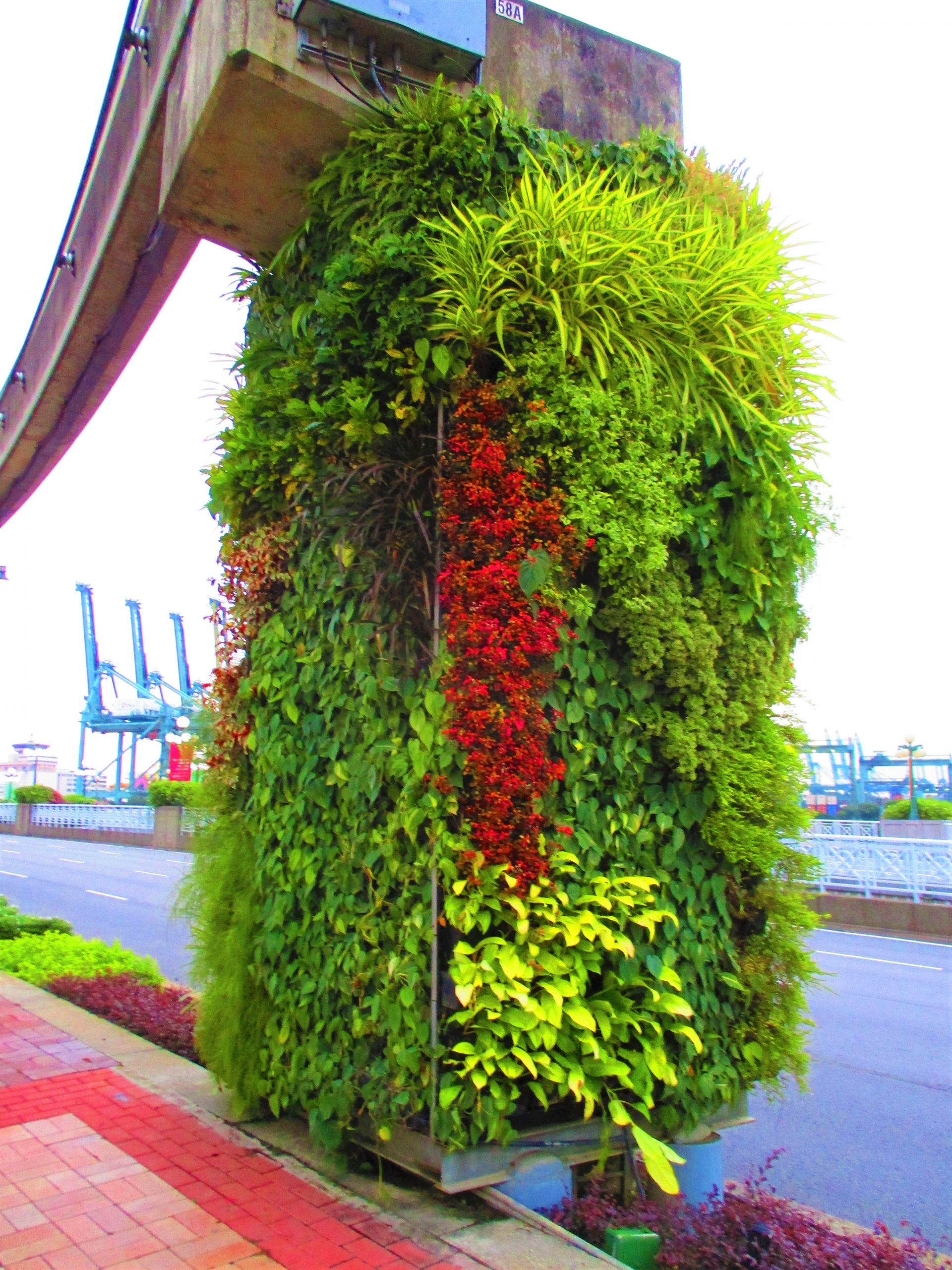 A picture of a bridge pier covered in plants with water in the background