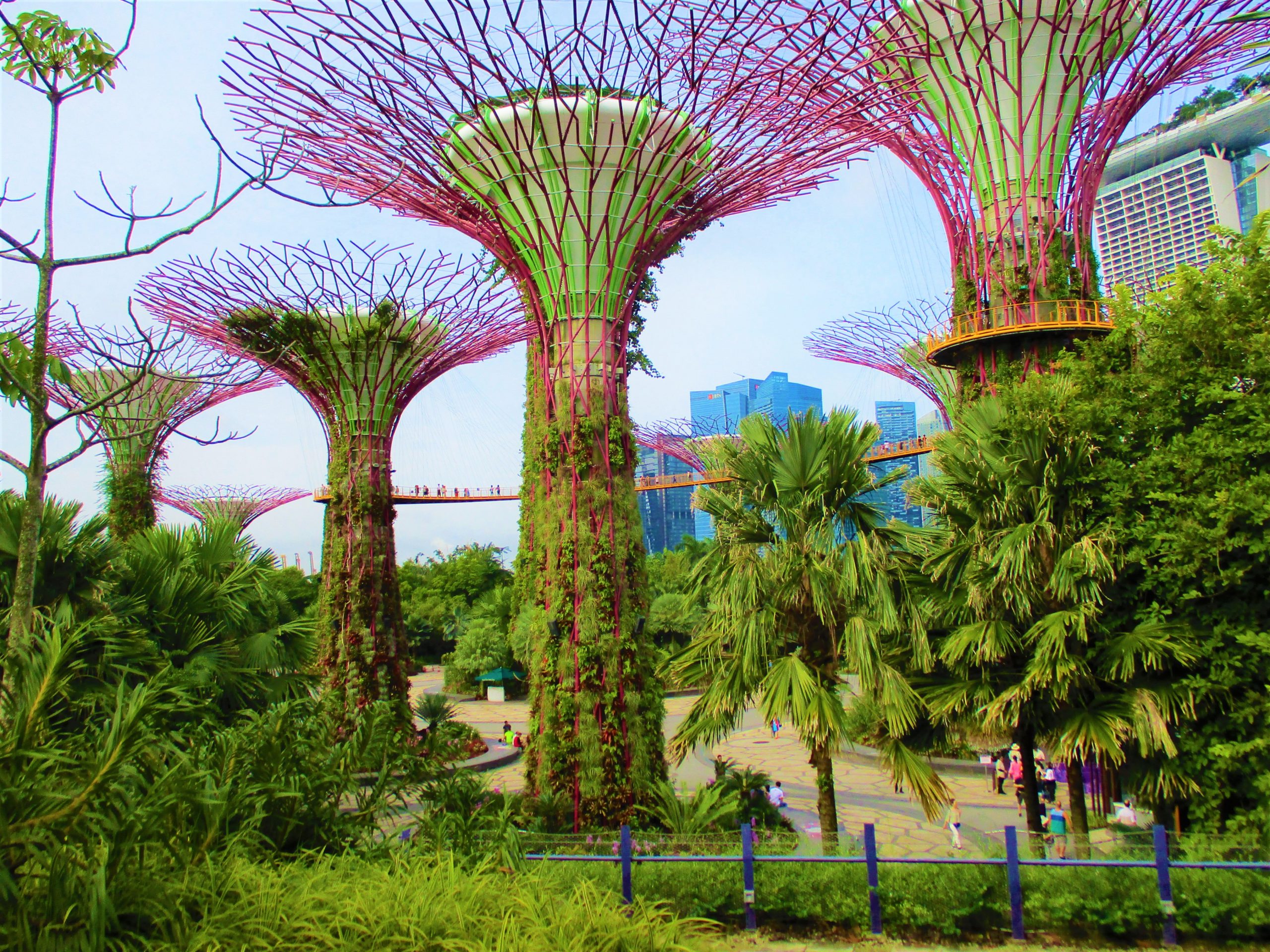 A picture of trees, grass, a walking path with people on it