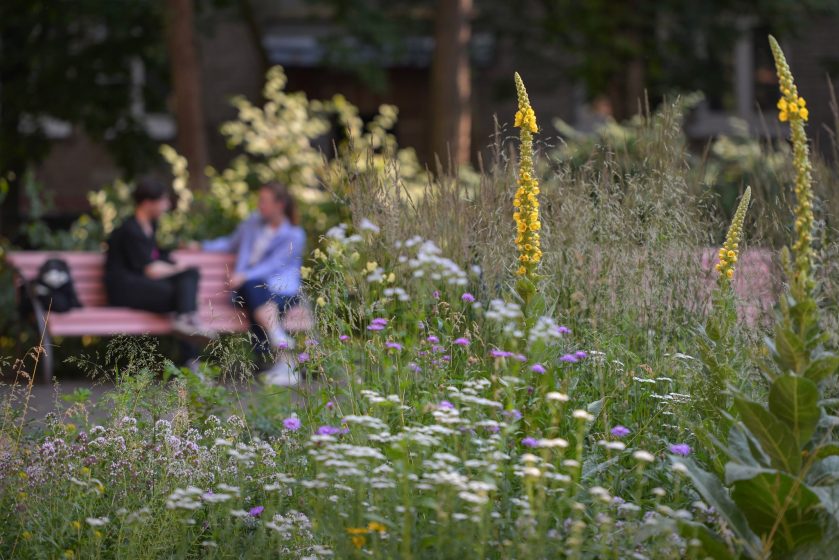 A couple of people sitting on a bench in a garden with flowers