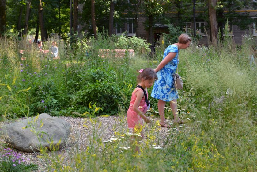 A child and an adult exploring the flowers and grass around them