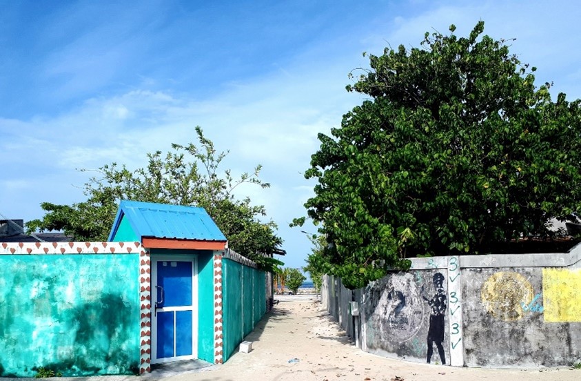 A picture of a bright blue house surrounded by trees with an alley next to it leading to the beach