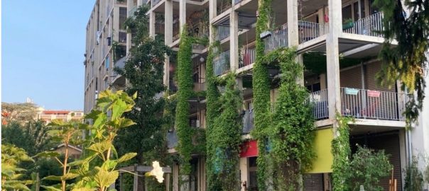 A picture of a building covered in plants