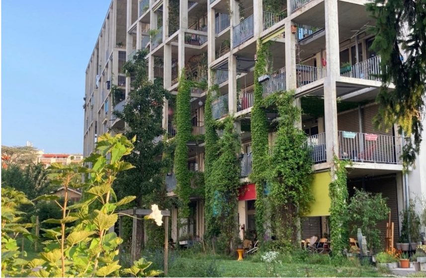 A picture of a building covered in plants