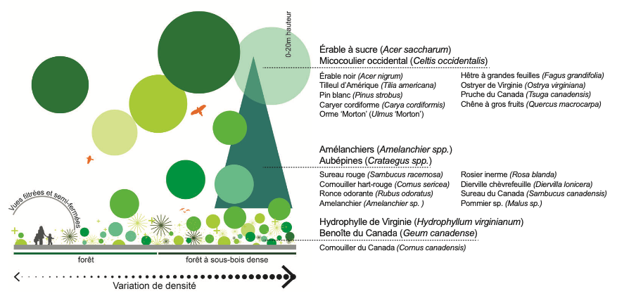 A graphic of trees and bushes next to text