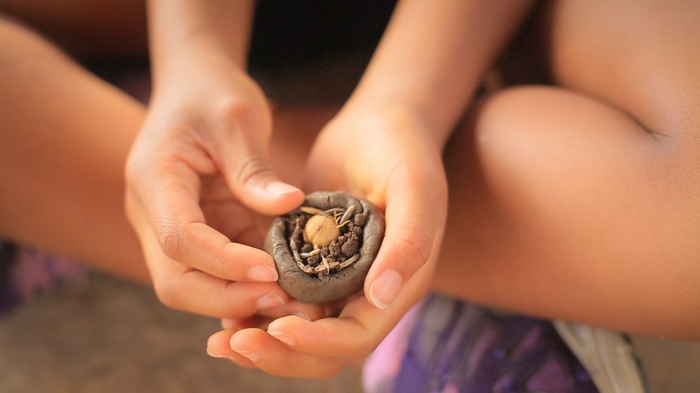 A picture of hands holding a sprouting seed inside a mud ball