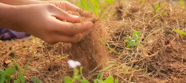 A picture of a hand scooping dirt from the ground