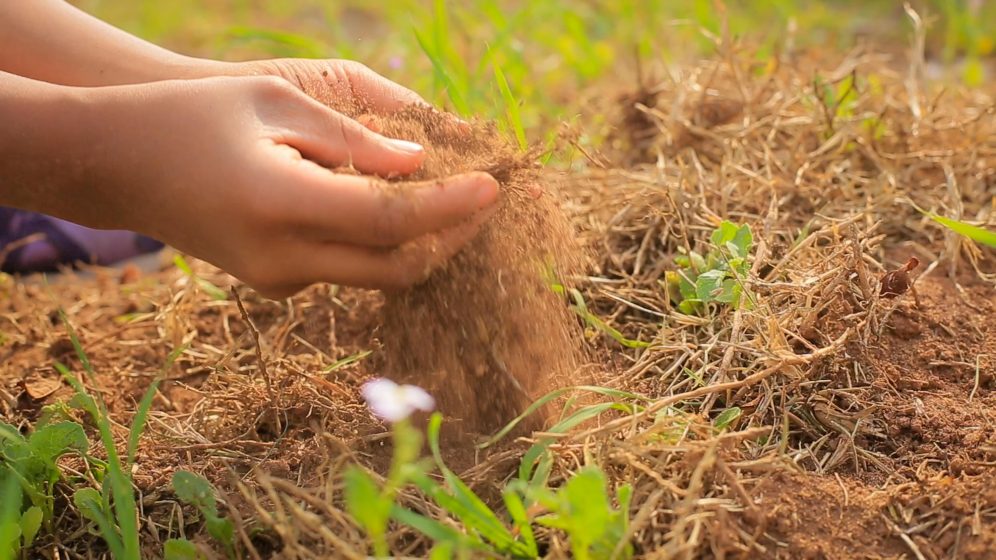 A picture of a hand scooping dirt from the ground