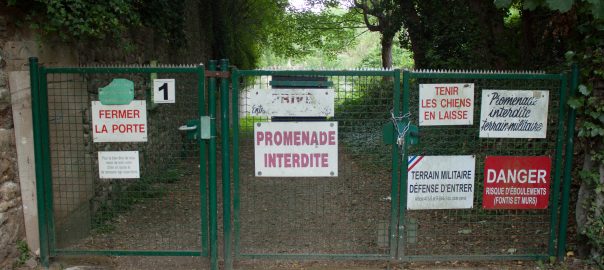 A picture of a gate covered in signs with a road leading through a forest behind it