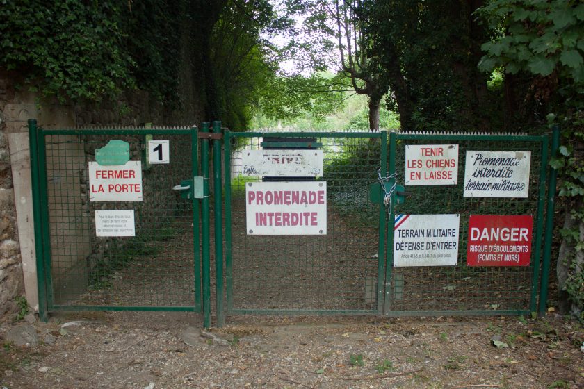 A picture of a gate covered in signs with a road leading through a forest behind it