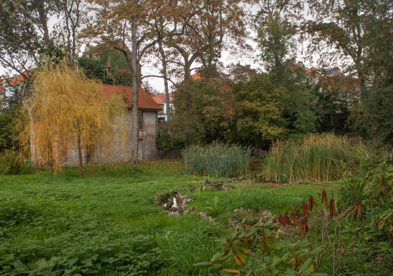 A picture of a house with a yard, trees, and vegetation around it