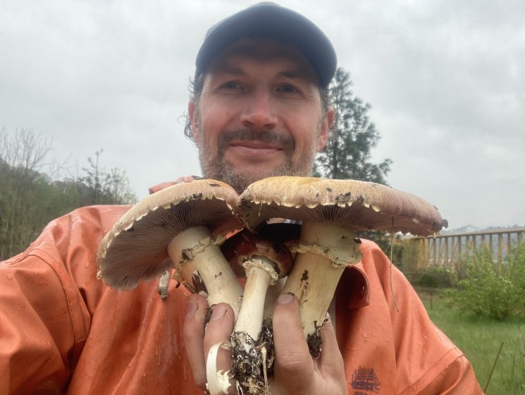 A picture of a person smiling and holding a handful of mushrooms