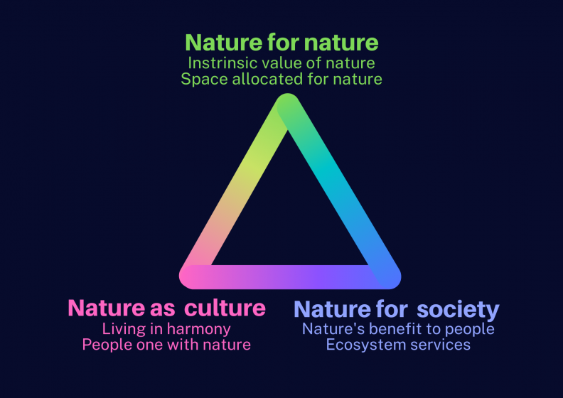 An info graphic of a rainbow gradient triangle with "Nature for nature", "Nature as culture", and "nature for society" written outside each corner