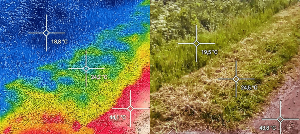 Two side-by-side pictures of a grassy field, one in infrared to show heat signatures