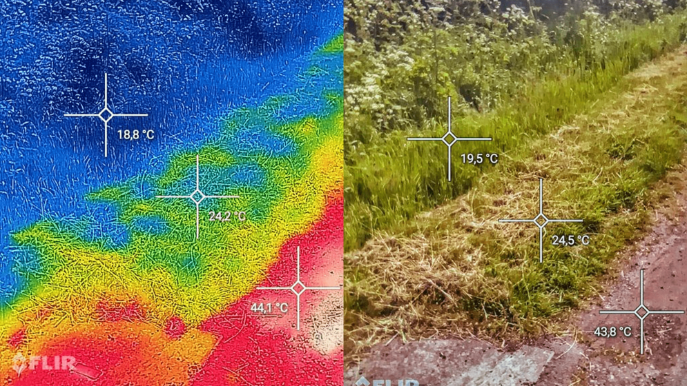 Two side-by-side pictures of a grassy field, one in infrared to show heat signatures