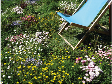 A picture of a folding chair sitting in a field of flowers