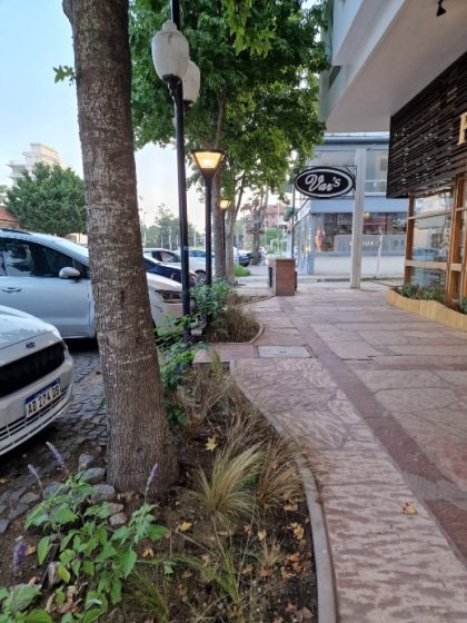 A picture of a sidewalk lined with trees