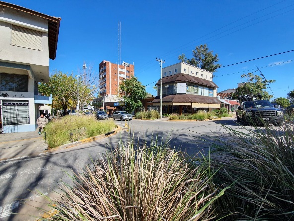 A picture of a street and buildings with green grasses growing along the sidewalks