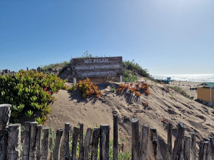 a picture of a sign behind a wooden stick fence on a vegetated beach