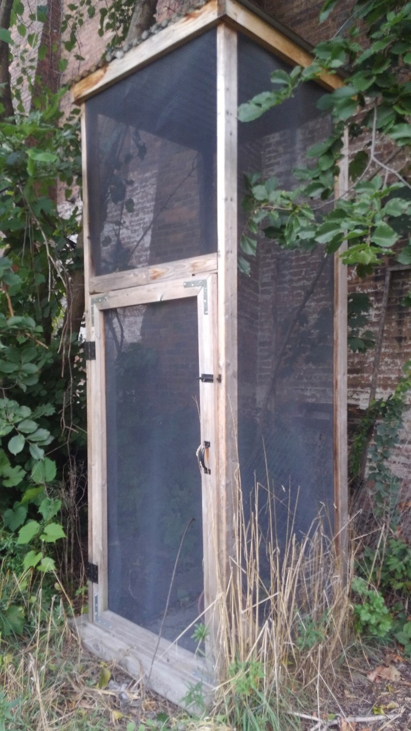 A picture of a tall screened box in an overgrown area